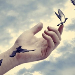 ΕΠΙΤΥΧΟΝΤΕΣ 2017